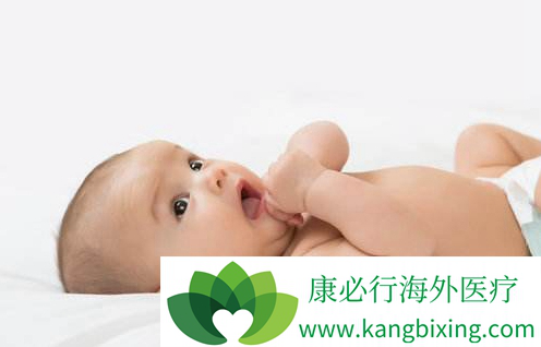 生殖内分泌专家